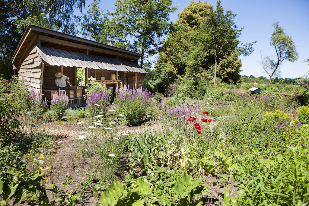 Tuin Roggebotstaete